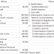 Rozwiązanie zadania 2 – Bilans firmy Gamma