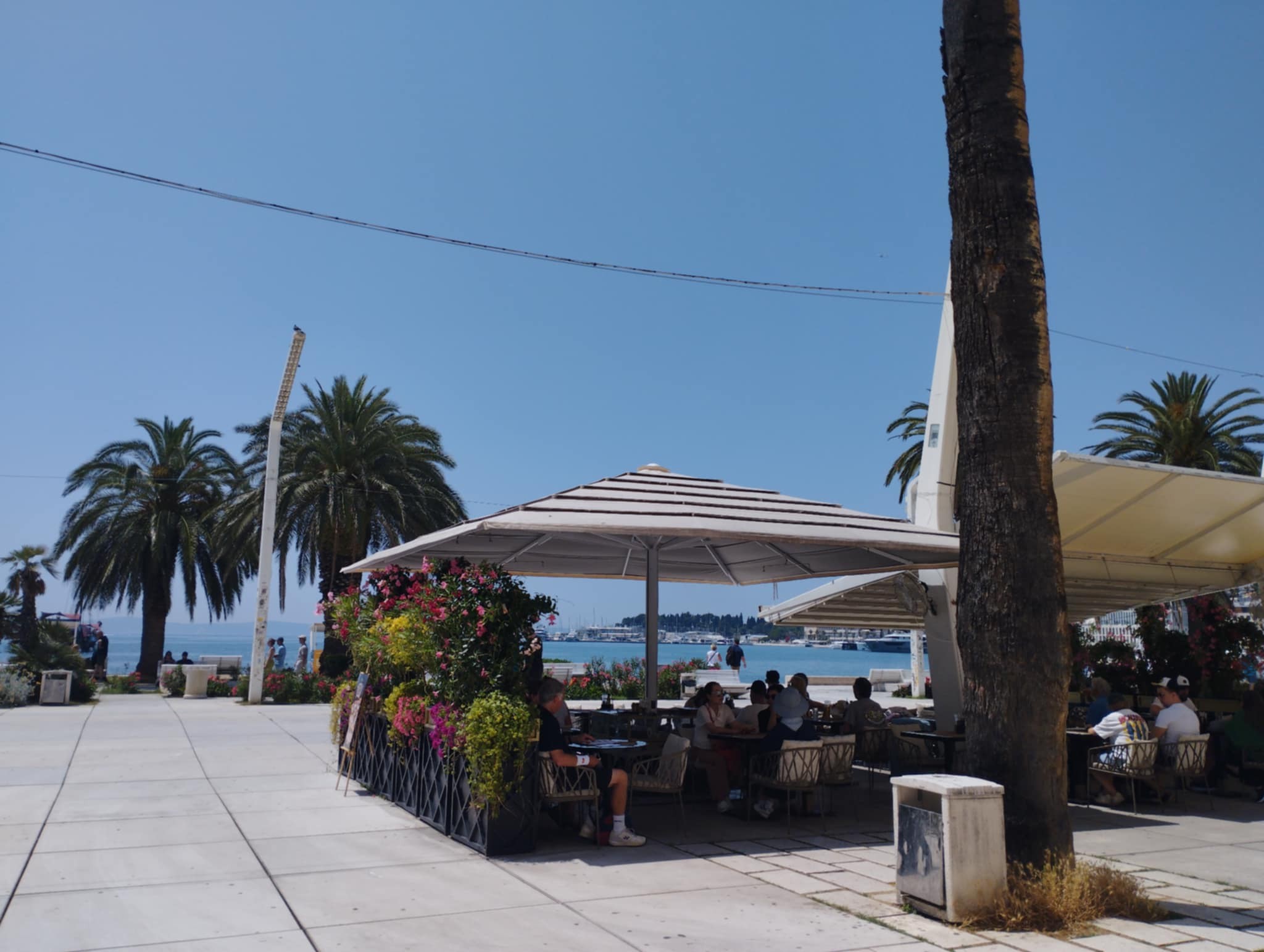 506493749_122138926142747927_1291634400987415703_n