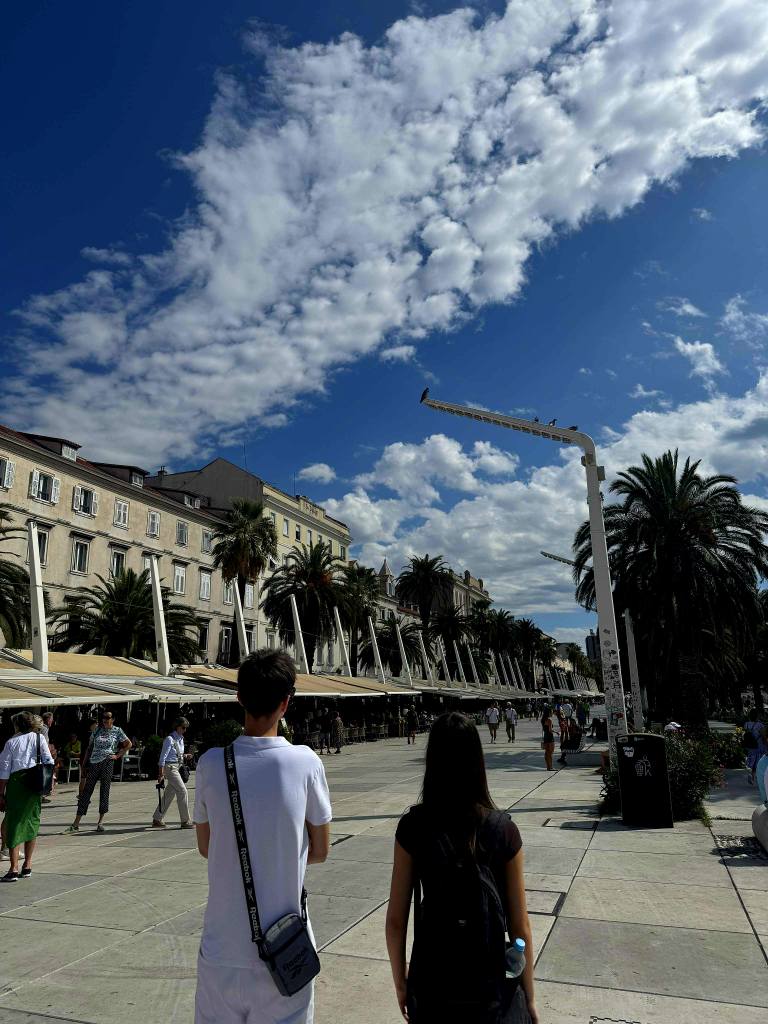 547396702_122156524664747927_78271933726512382_n