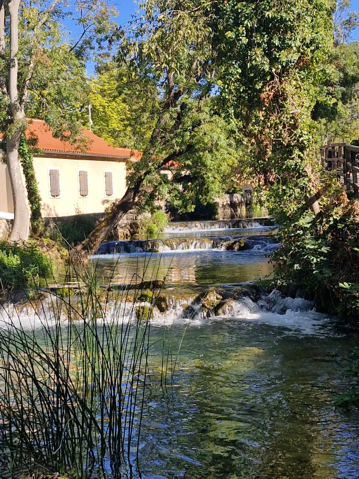 549195819_122157384230747927_1425652064888999538_n