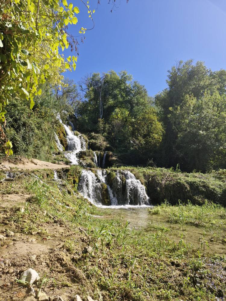 549333547_122157384056747927_7839650730026137975_n