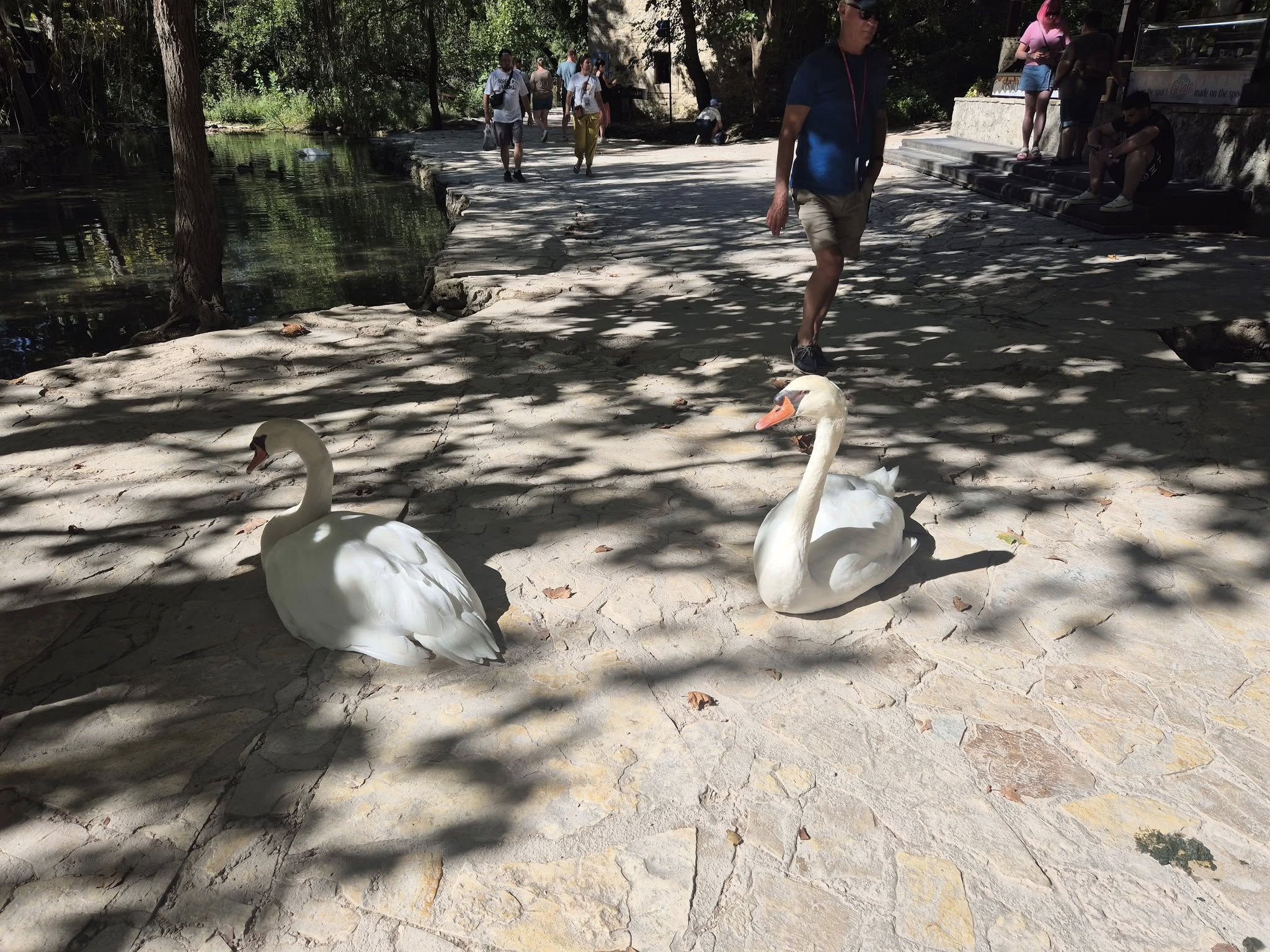 549435805_122157388430747927_4347066861755874861_n