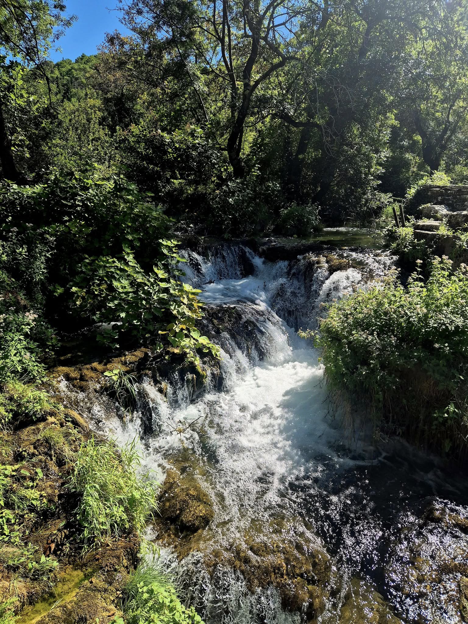 549628029_122157388358747927_5695501512751625930_n