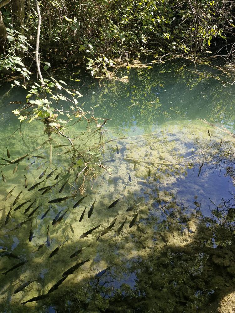 550200305_122157384350747927_2356089269020378882_n