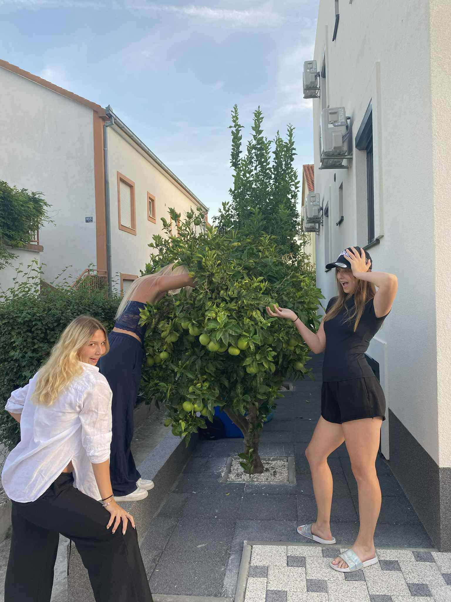 551791140_122157558188747927_4614149571651216203_n