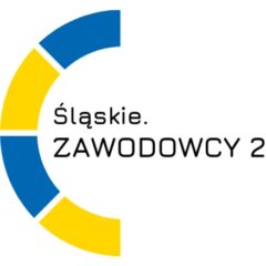 Śląskie.Zawodowcy 2